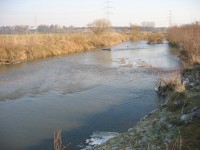 In der Bildmitte neu entstandene Kiesbank, davor Flachwasserbereiche. Am rechten Ufer 4-jähriger Sämlings-aufwuchs von Erlen und Weiden